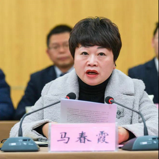 宣汉县委马春霞常委介绍了宣汉县县情与卫生健康事业发展情况